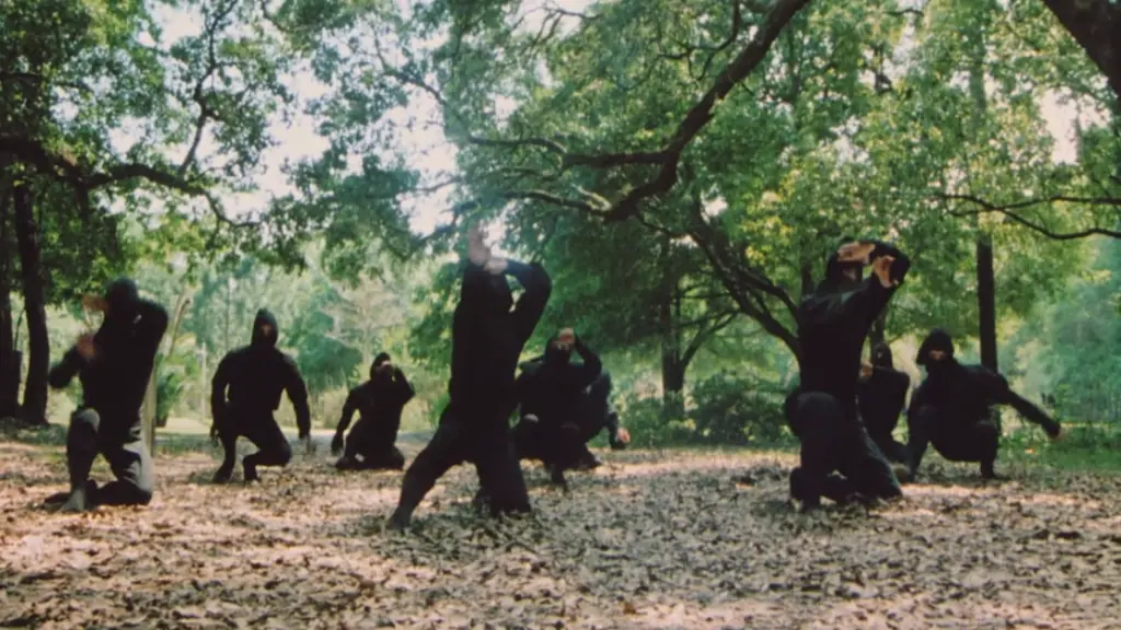 shinobi