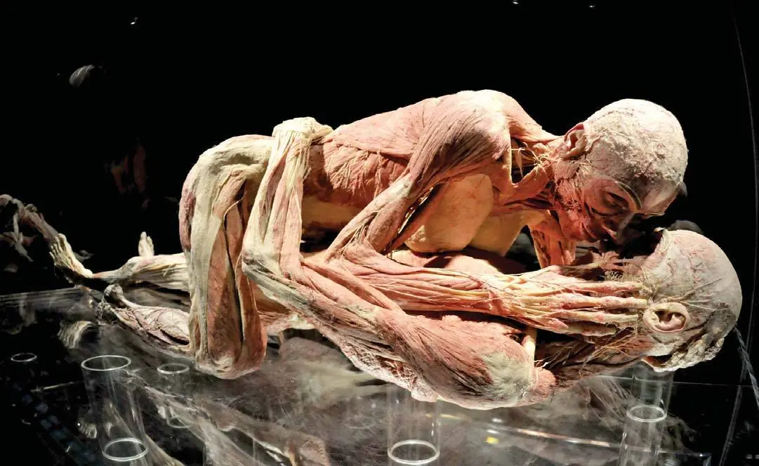 El hombre