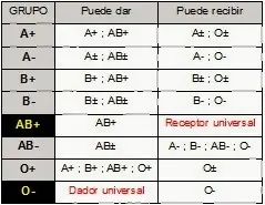 Dioses