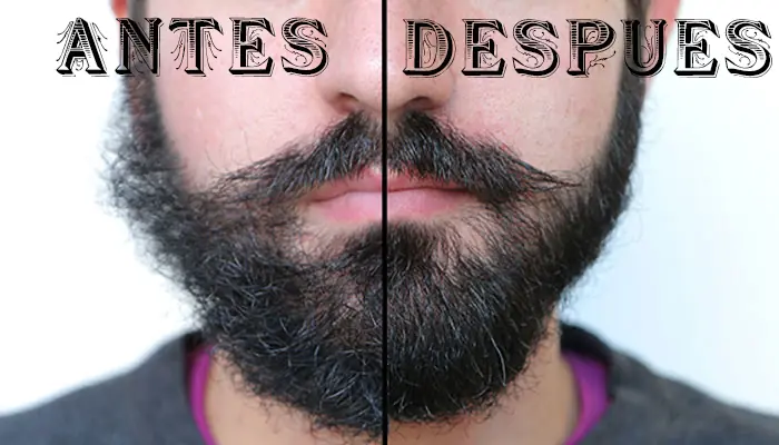 cuidados barba