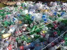 Investigadores trabajan la biodegradación del plástico