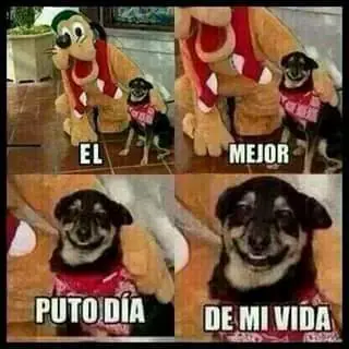 Este post mejorará (para siempre) tu ánimo...