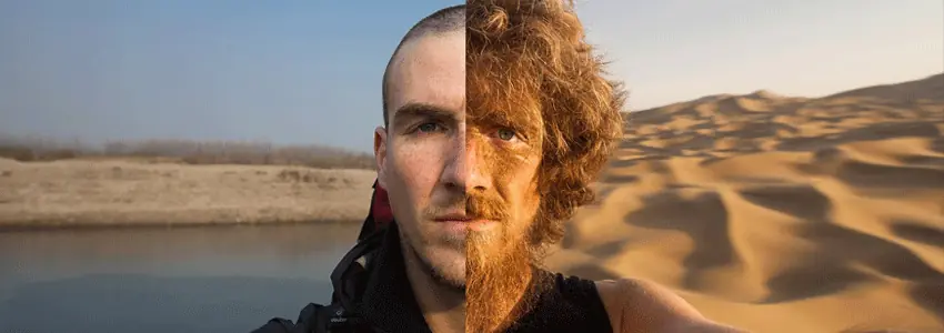 barbas