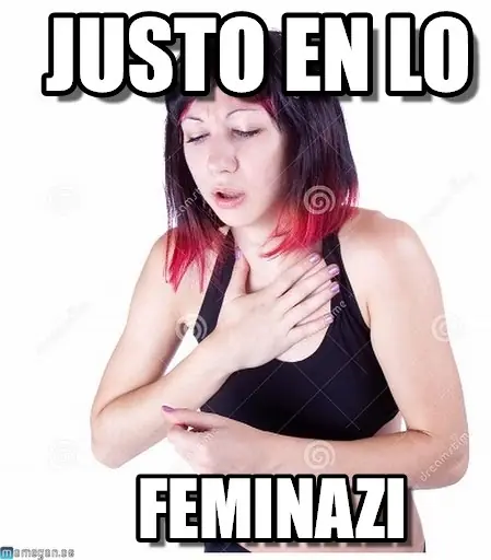 feminazi