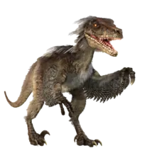 Velociraptor: El post que se merece
