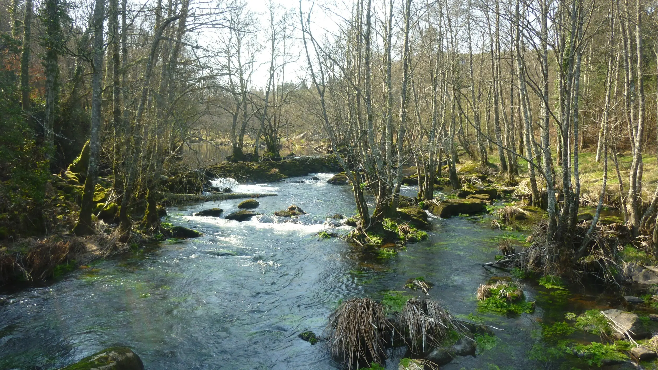 Sendas y rutas en la comarca de Terra Chá