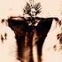 Contactoparanormalorg