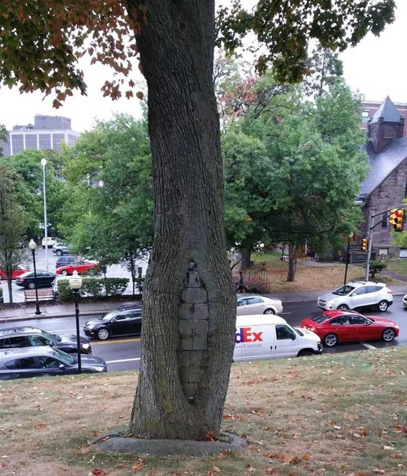 23 Geniales cosas que nunca imaginaste ver