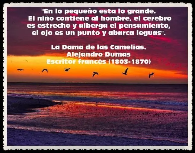 citas