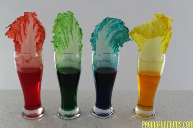 experimentos faciles