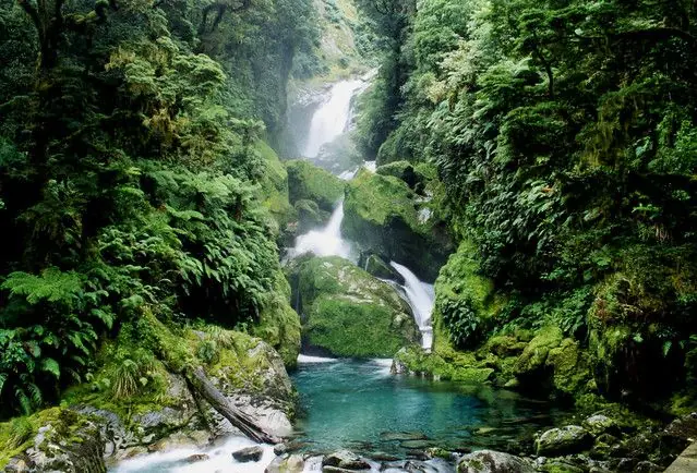 Milford Sound,el reino de la lluvia.