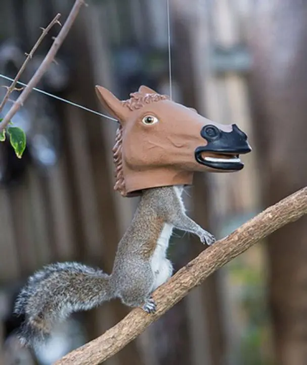 Inventos bastante extraños.