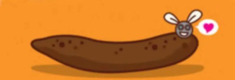 Esto es lo que tu materia fecal dice sobre tu salud