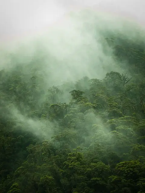 Paisajes