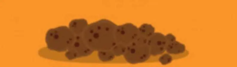 Esto es lo que tu materia fecal dice sobre tu salud