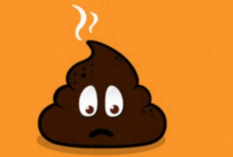 Esto es lo que tu materia fecal dice sobre tu salud