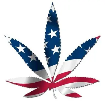 Razones de que la legalización no es la solución para México