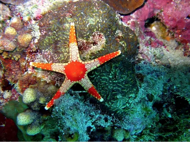15 Rincones del planeta que puedes visitar sin levantarte