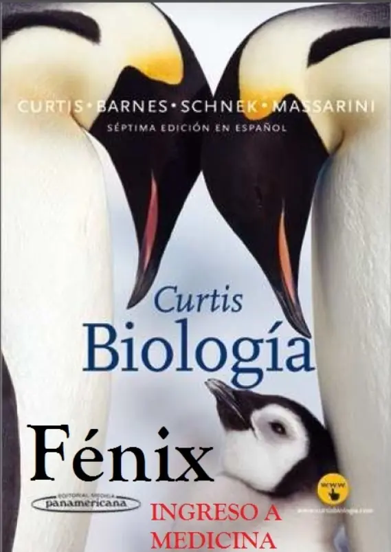 fenix