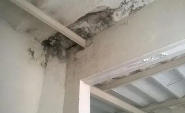 Uruguay Humedad, mugre y ratas en hospitales