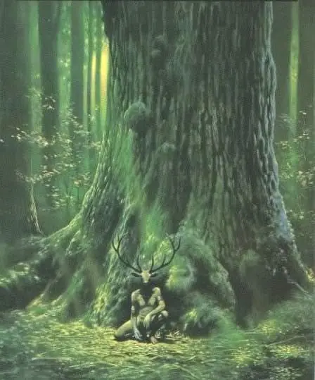 Druidas