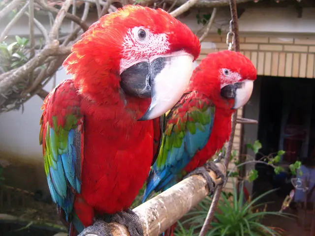 Datos y curiosidades que no sabías [Insólito]