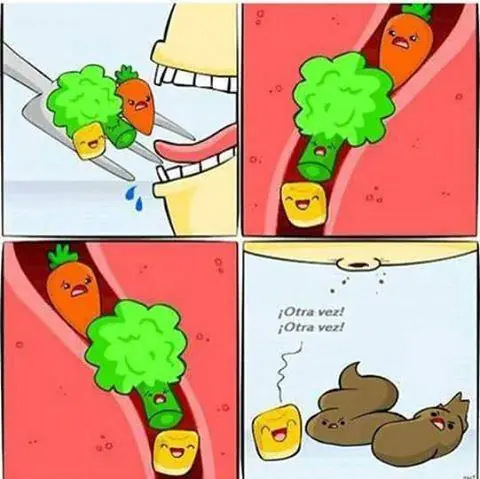 El porque los granos de choclo sobreviven a la digestión.