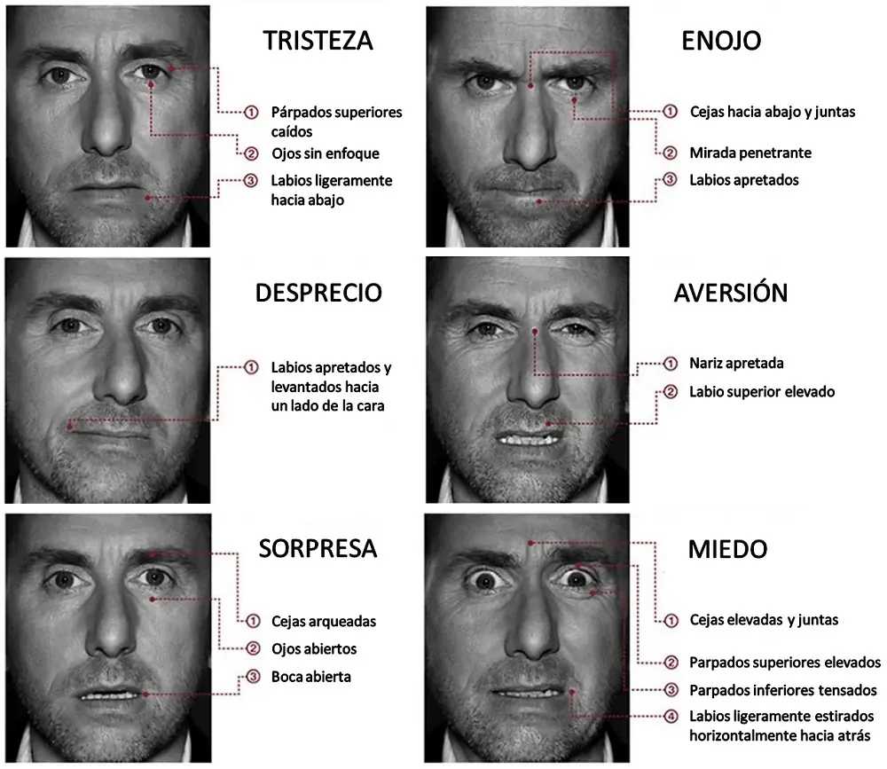 leguaje