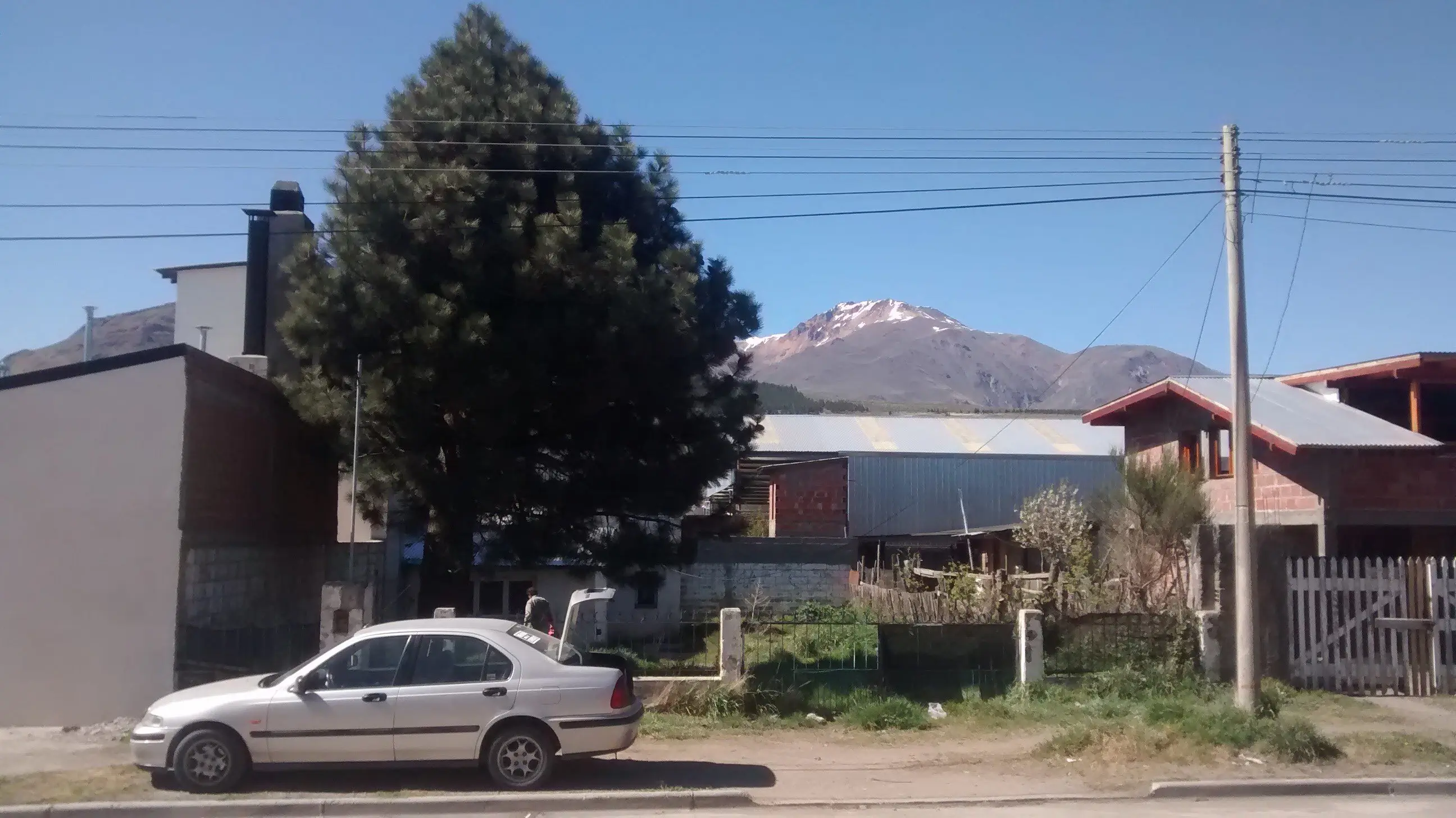 [mi primer post] Mi viejo y yo tiramos un pino de 7m de alto