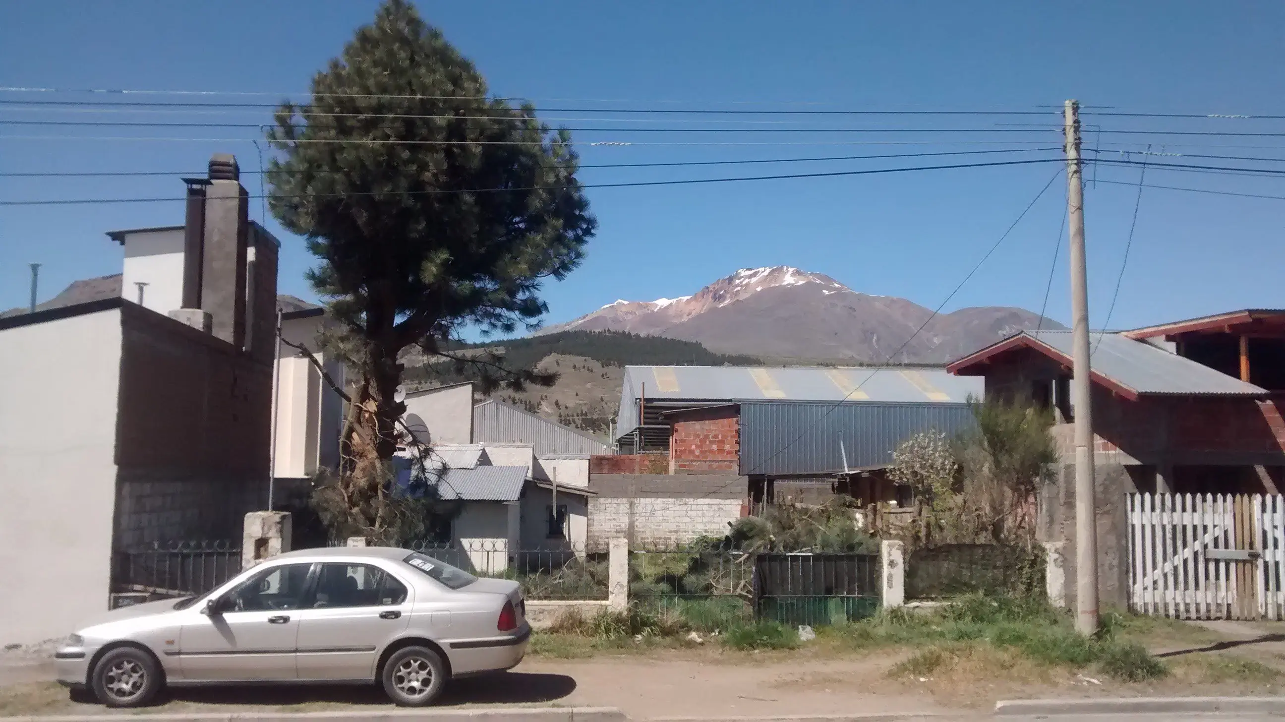 Arbol