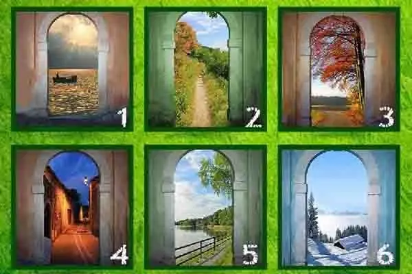 Test de los 6 arcos (pasate lince)