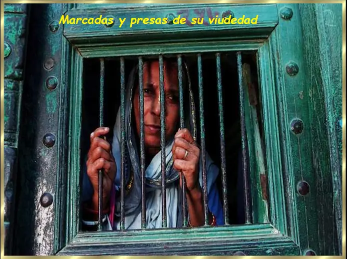 taringa