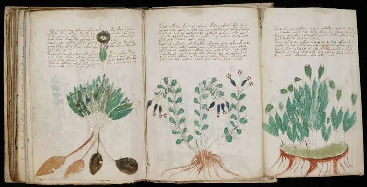 tierra