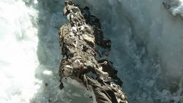 9 encontradas debajo de un glaciar