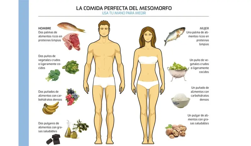 Como comer según tu biotipo