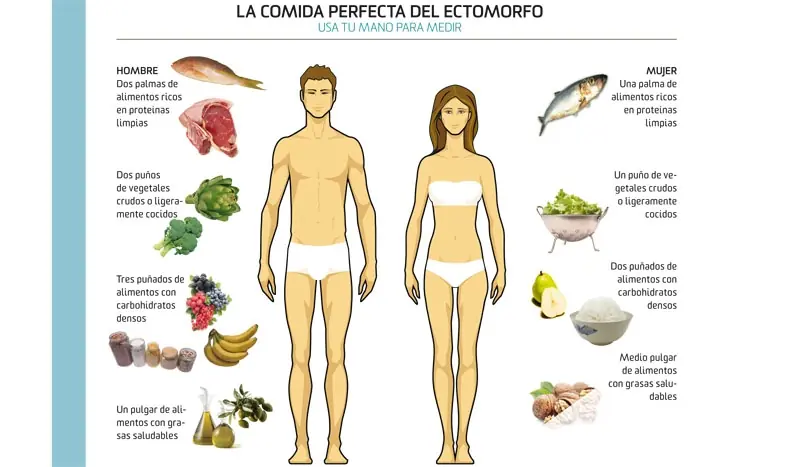alimentacion