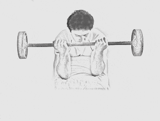 masa corporal