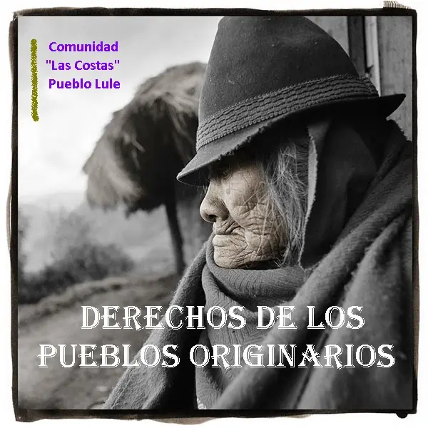 crisis campo soja argentina retenciones gobierno nacional leyes