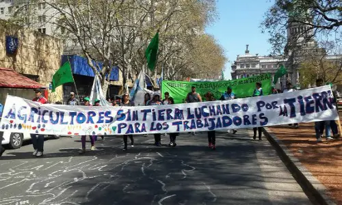 soja transgenica