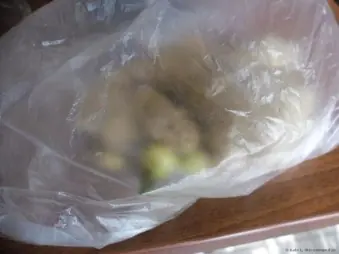 Cómo cultivar jengibre medicinal en la ventana de tu casa.