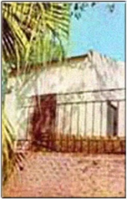 hernandez