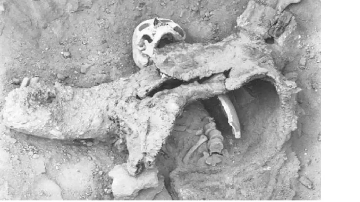 Guerra Química hace 1.700 años