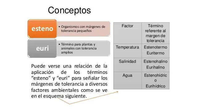 ¿Qué son los organismos euri y esteno?
