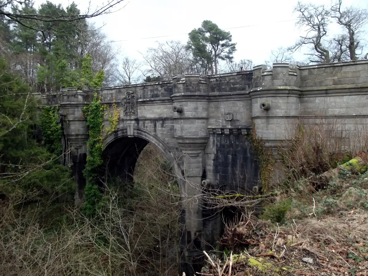 El puente donde los perros se suicidan: ¿misterio resuelto?