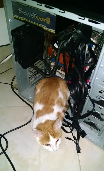 Como recuperar tu vieja pc!