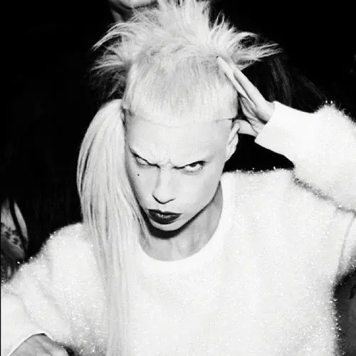 die antwoord