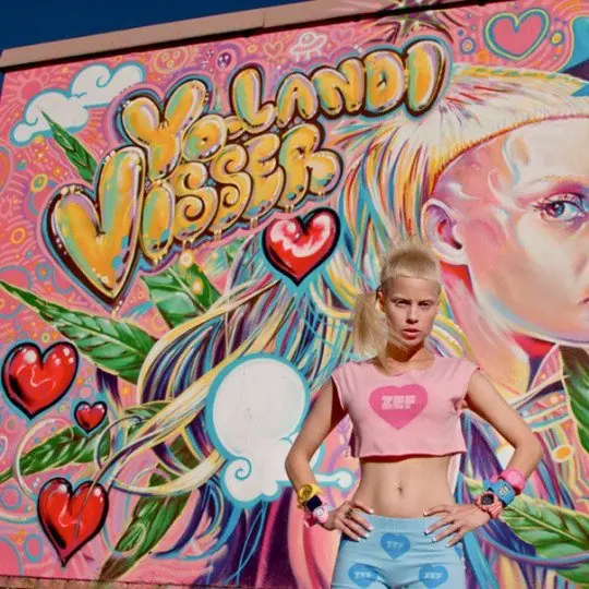 die antwoord