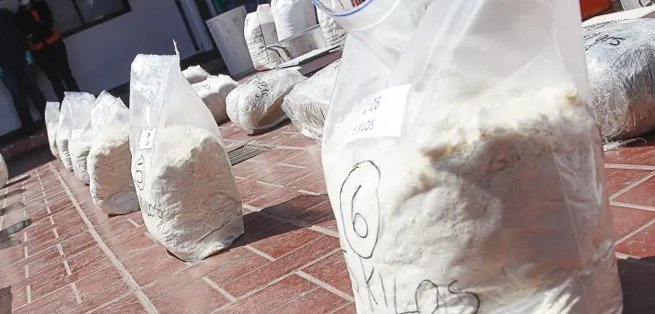 Buses de hinchas colombianos traían 500 kgs de coca a Chile