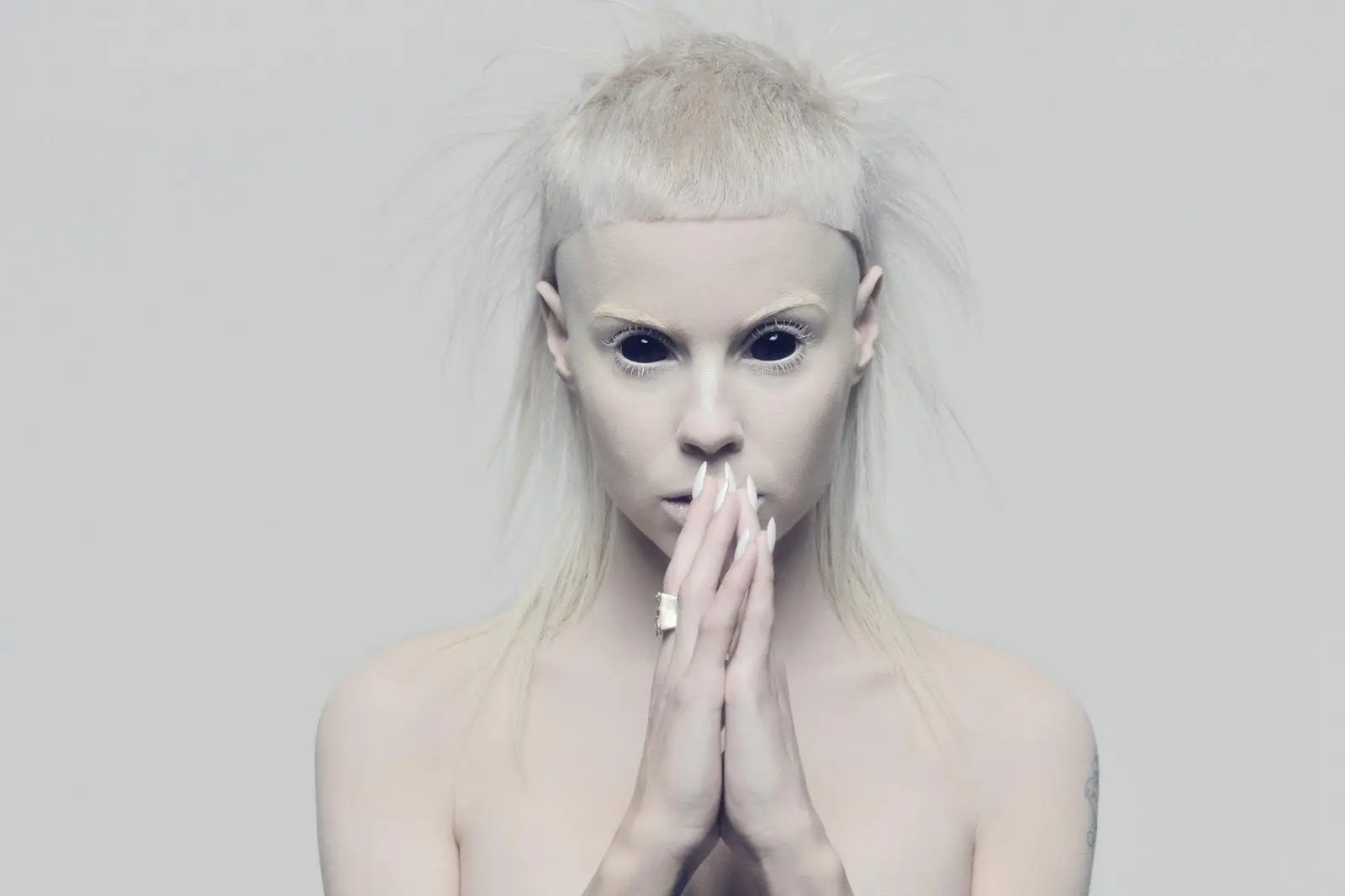 die antwoord