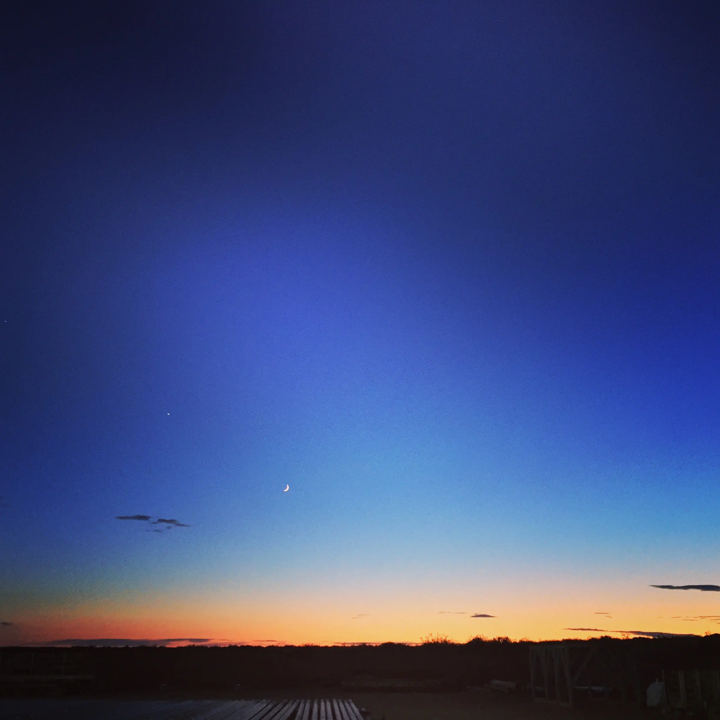 Me compre un Honda Accord Mafioso y te lo muestro